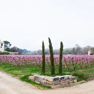  Hotel Rural Mas De L'illa